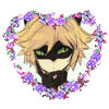 chat noir chat noir